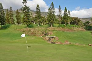 King Kamehameha 6th Green